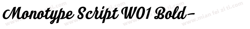 Monotype Script W01 Bold字体转换